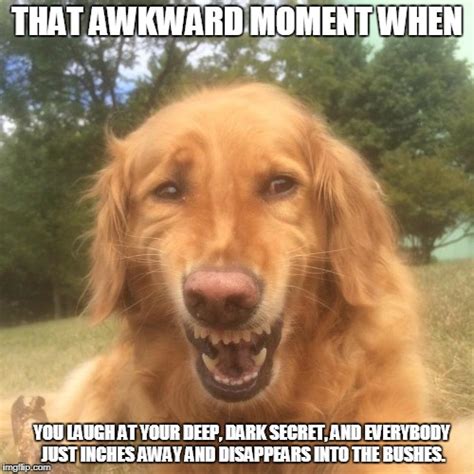 Awkward Laugh Dog Imgflip