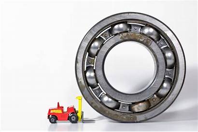 Bearing Bearings Toys Ages Holidays Easy Istock