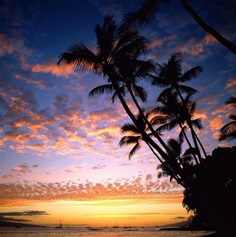 Beautiful Picture Of Hawaii Nature Photography Beautiful Sunset