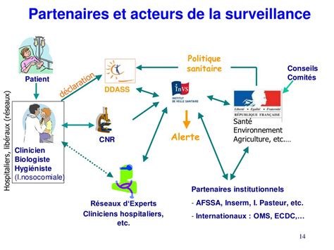 Ppt Surveillance Sanitaire En France Surveillance Des Maladies