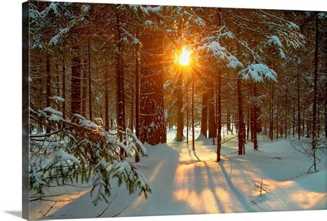 Winter Landscape With Setting Sun Shining Through Forest Trees Wall Art