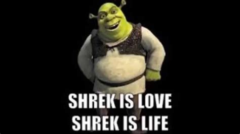 inspirational shrek is love shrek is life quotes love quotes collection within hd images