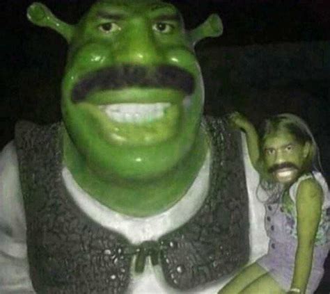 Shrek Face Meme Idlememe