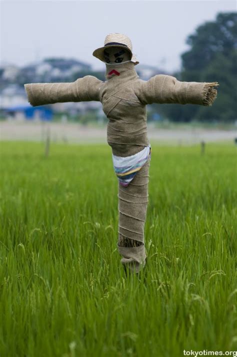 Very Funny And Cute Scarecrow Photos Wiresmash