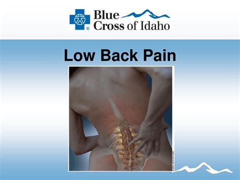 Ppt Low Back Pain Powerpoint Presentation Free Download Id1011198
