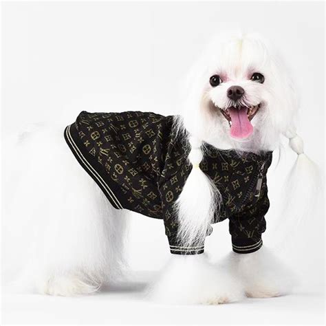 Lv Dog Coat Louis Vuitton Dog Appeal Designer Puppy Jackets