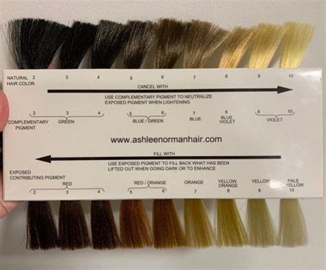 Ion Hair Color Chart Ion Hair Colors Hair Color Wheel Hair Color