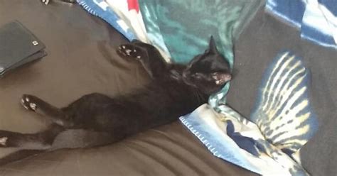 Potato Quality Dump Of Theo Lounging Album On Imgur