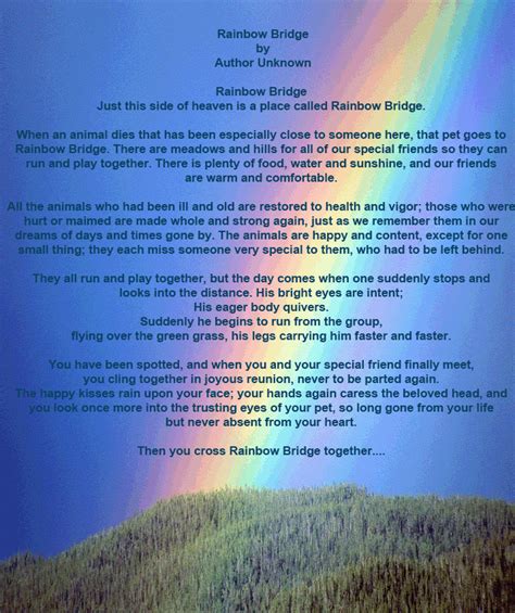 There is a bridge connecting heaven and earth. The Rainbow Bridge Poem