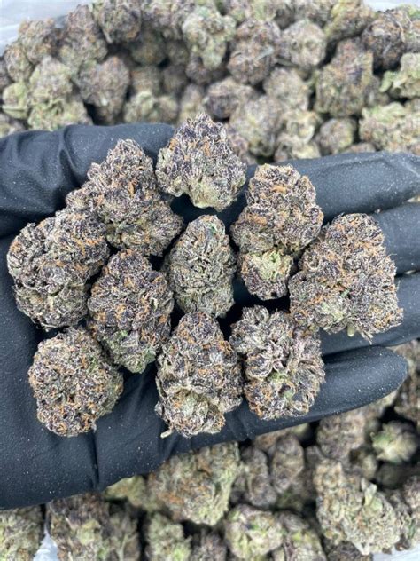 Purple Poison Runtz Weed Strain For Sale Flooded Packs