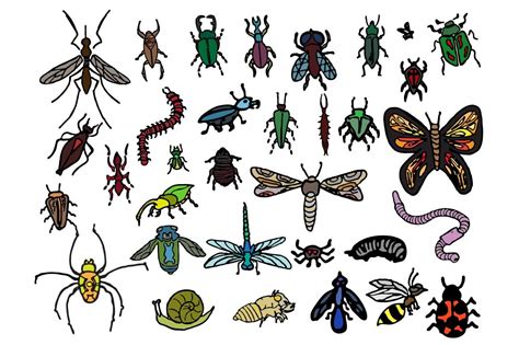 33 Hand Drawn Vector Bug Doodles ~ Graphic Objects ~ Creative Market