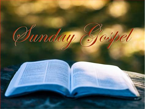 Sunday Gospel Readings June Thirteenth Sunday In Ordinary Time
