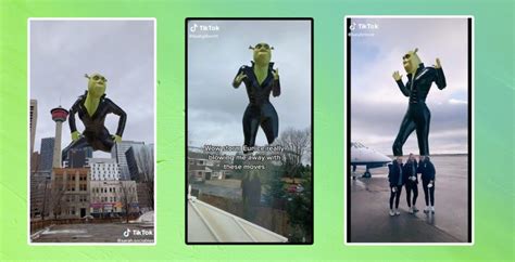 This Is How To Get The Shrek In The Sky Filter On Tiktok