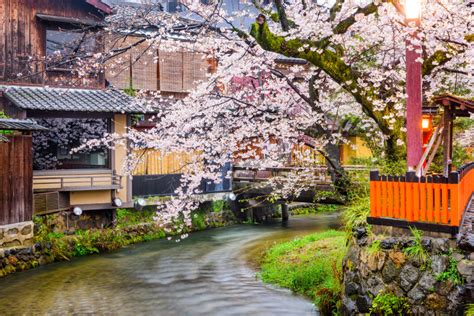Gion Kyoto Geisha District The Ultimate Guide