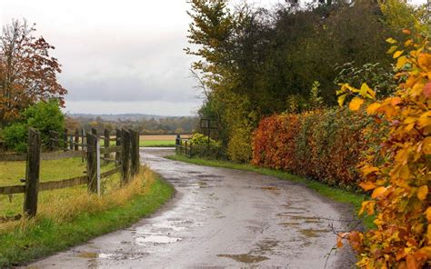 Hd Roads Autumn Fall Rain Wet Water Reflection Fence Landscapes Trees