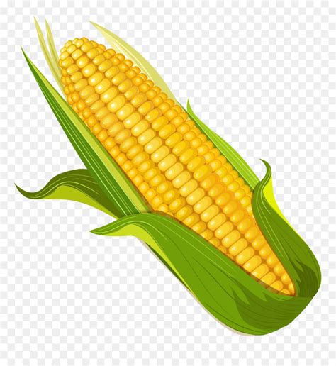 Corn Clipart Elote Corn Elote Transparent Free For Download On