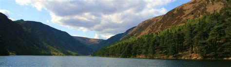 Jacob poole (1867) , william barnes, editor, a glossary, with some pieces of verse, of the old dialect of the english colony in the baronies of forth and bargy, county of wexford, ireland, j. About Us - Stirabout Lane