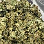 Outdoor Master Kush - Weed Delivery Toronto North York - Crown Weed ...