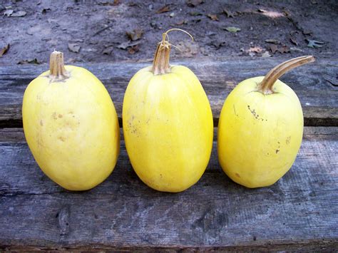 Think congress declared pizza a vegetable? Spaghetti Squash (Vegetable Spaghetti) Winter Squash