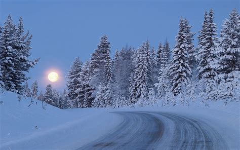 Snowy Forest Road Moon Night Wallpapers Snowy Forest Road Moon Night
