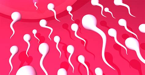 Sperm 15 Crazy Things You Should Know