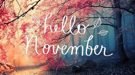Hierna volgen nog 31 dagen tot het einde van het jaar. November | Stray Thoughts