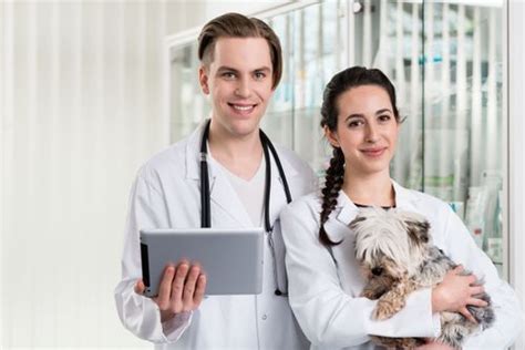 Independently owned… frameworkltc is designed for long term care pharmacies. Pet Care - Care Connect Pharmacy | Your Local Mclean Pharmacy