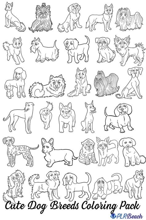 30 Dog Breeds Coloring Image Pack for Commercial Use | Dog coloring