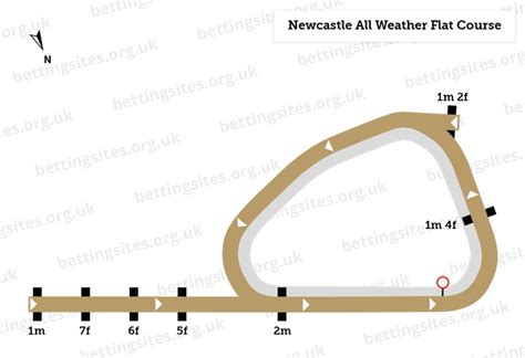 Newcastle Racecourse Guide Visitor Info Races And History