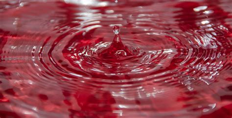 Wallpaper Red Macro Water Droplets Drops Nikon Flickr Droplet
