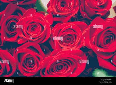 Vector Red Roses Stock Vector Image And Art Alamy