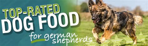 Before buying dog food for gsds, you want to make sure that the ingredient ratios in the formula will meet the nutritional requirements of your canine pal. What is the Best Dog Food for a German Shepherd?