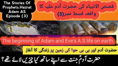 QASAS UL ANBIYA EP3 Hazrat Adam AS K Waqia Prophet Adam Story In