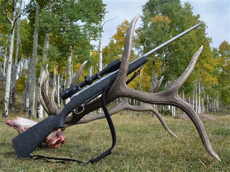 11 Ways To Start Preparing For Your Fall Elk Hunt In The Offseason