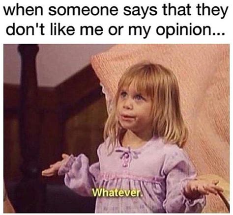 I Dont Like You Dont Like Me Dankest Memes Funny Memes Michelle Tanner My Opinions Full