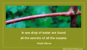 Saying, 'it will not come to me.' drop by drop is the water pot filled. Droplets Water Quotes. QuotesGram