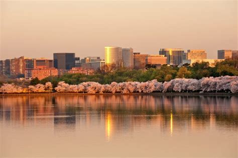 Things You Should Know Before Moving To Arlington Va