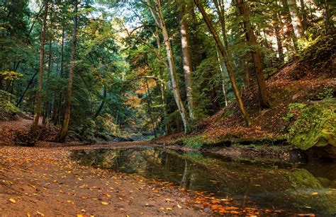 Automne 4k Ultra Fond Décran Hd Arrière Plan 4000x2597 Id