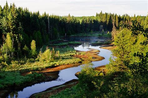 Tar Sands Threaten Worlds Largest Boreal Forest Global Forest Watch