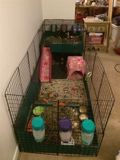 Pin By Geosmom On Rabbit Cage Rabbit Cage Indoor Rabbit Bunny Cages