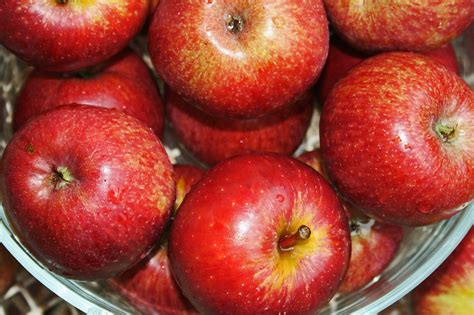 Bowl Of Apples Red Free Photo On Pixabay