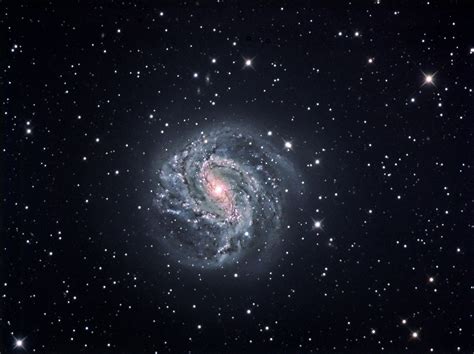 M83 Southern Pinwheel Galaxy Astronomy Pictures At Orion Telescope