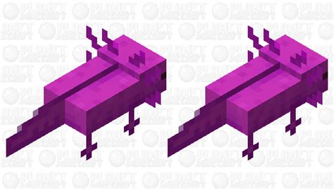 How To Find A Purple Axolotl In Minecraft Mudfooted
