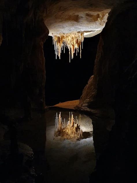 Stalactite Growing From The Roof Of A Limestone Cave In Naracoorte