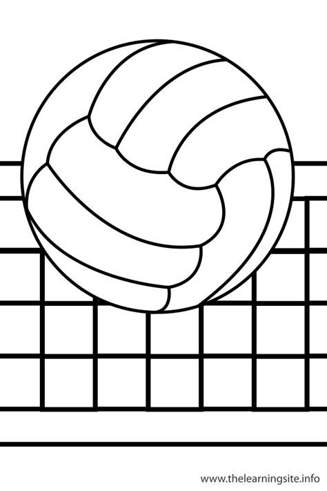 volleyball flashcard  learning site