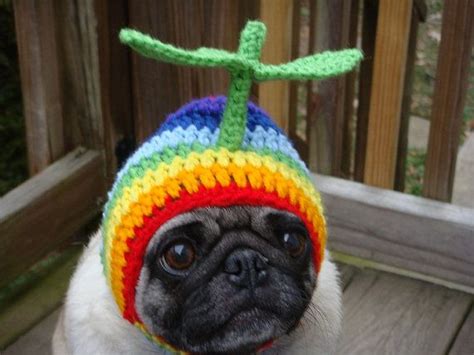 Rainbow Propeller Dog Hat Made To Order By Sweethoots On Etsy 2000