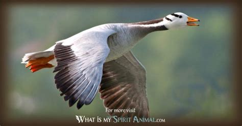Goose Symbolism And Meaning Goose Spirit Totem And Power Animal