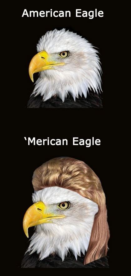 Bald Eagle Meme