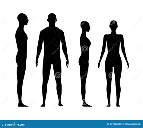 Front And Side View Human Body Silhouettes Cartoon Vector