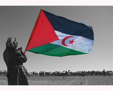 الجزائر وتونس ومصر والسودان وفلسطين وسوريا ومنها إلى مكة. هذة هدية لكل رواد المنتدى
